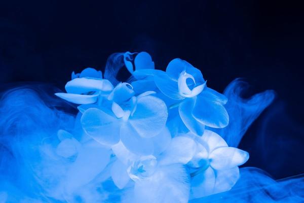 Profumo di donna, dopo la menopausa