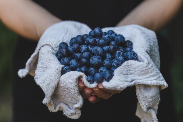 Mangiare poco allunga la vita: ecco il perché