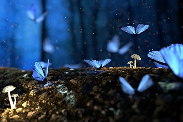 I neuroni, misteriose farfalle dell'anima