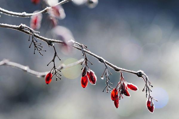 Dolori articolari in menopausa: quanto contano gli estrogeni