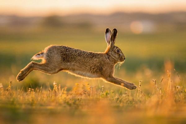 Vivere la vita: spettatori o protagonisti?
