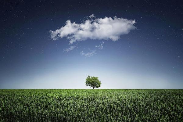 Gioia di vivere, tra vocazione, disciplina e ostacoli