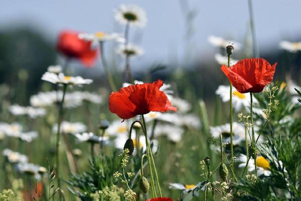 Cistite post-coitale, dolore ai rapporti e vulvodinia: un quadro clinico da conoscere bene