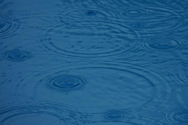 Depressione: il ruolo patogenetico della disbiosi intestinale