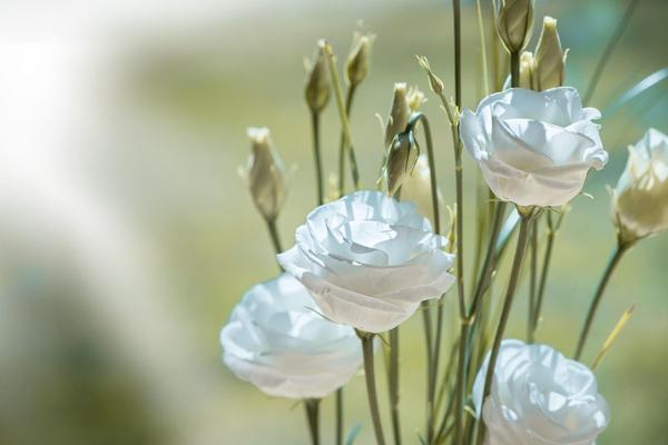 Menopausa precoce: un evento ancora difficile da prevedere