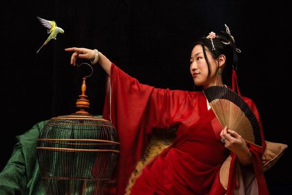 Gestione dei fibromi uterini: nuove linee guida canadesi